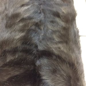 Premium Barguzin Sable Fur Plates – Unmatched Luxury & Quality