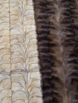 Russian Sable Fur Plates Pieces Top Quality