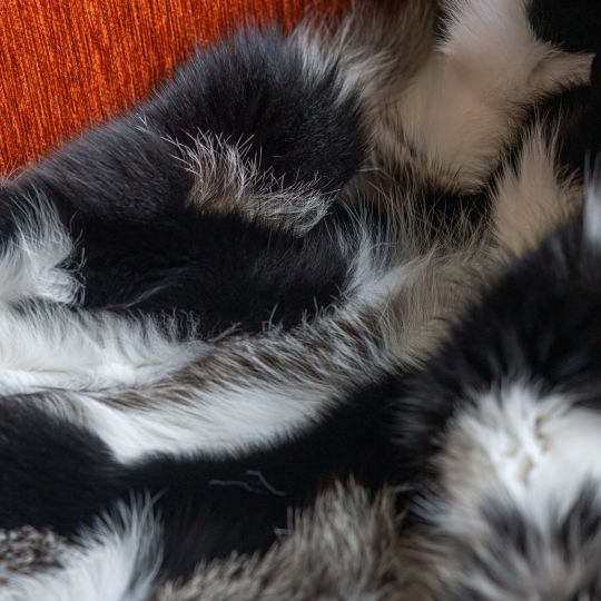 Sable Fur Throw Blanket