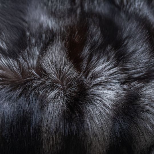 Sable Fur Throw Blanket