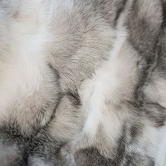 Shadow Blue Frost Fox Throw Blanket