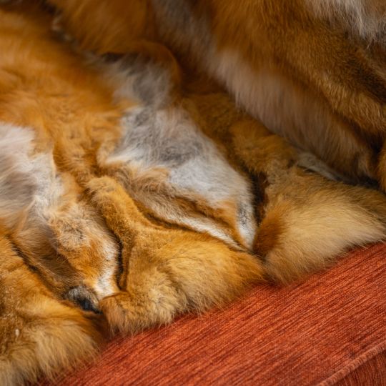 Canadian Red Fox Fur Blanket