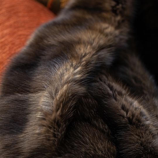 Sable Fur Throw Blanket Barguzin