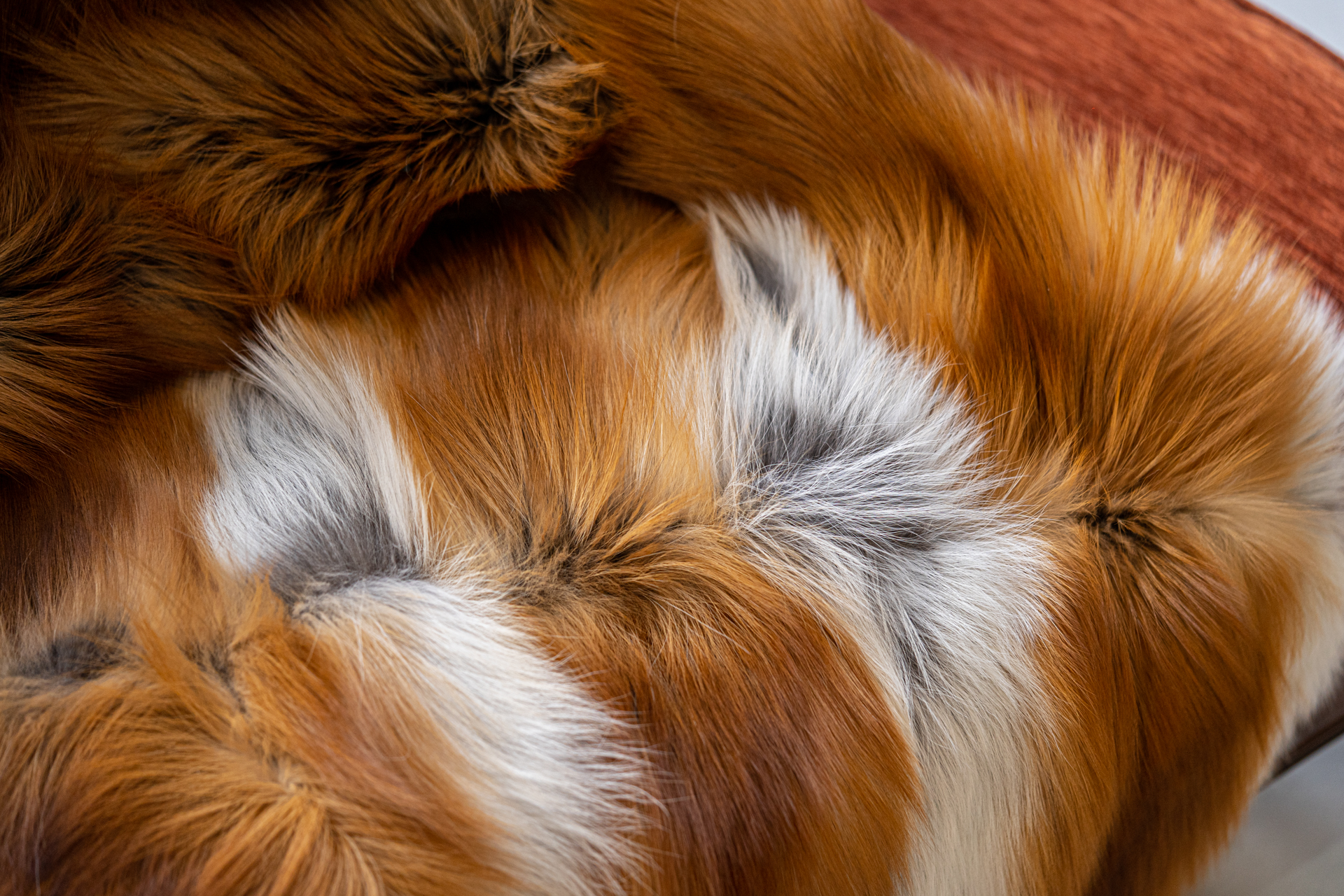 Gold Fox Fur Blanket