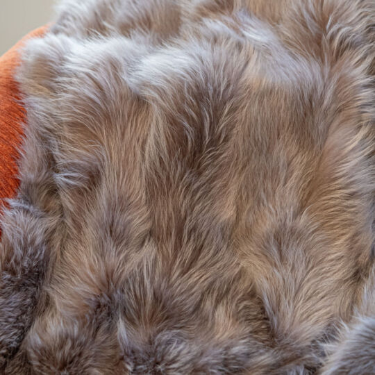 Finn Raccoon Fur Throw Blanket