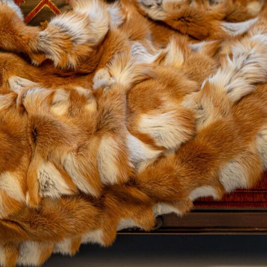 Canadian Red Fox Fur Floor Mat